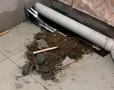 梧州市卫生间漏水检测哪家好