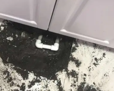 梧州市查漏水哪家好